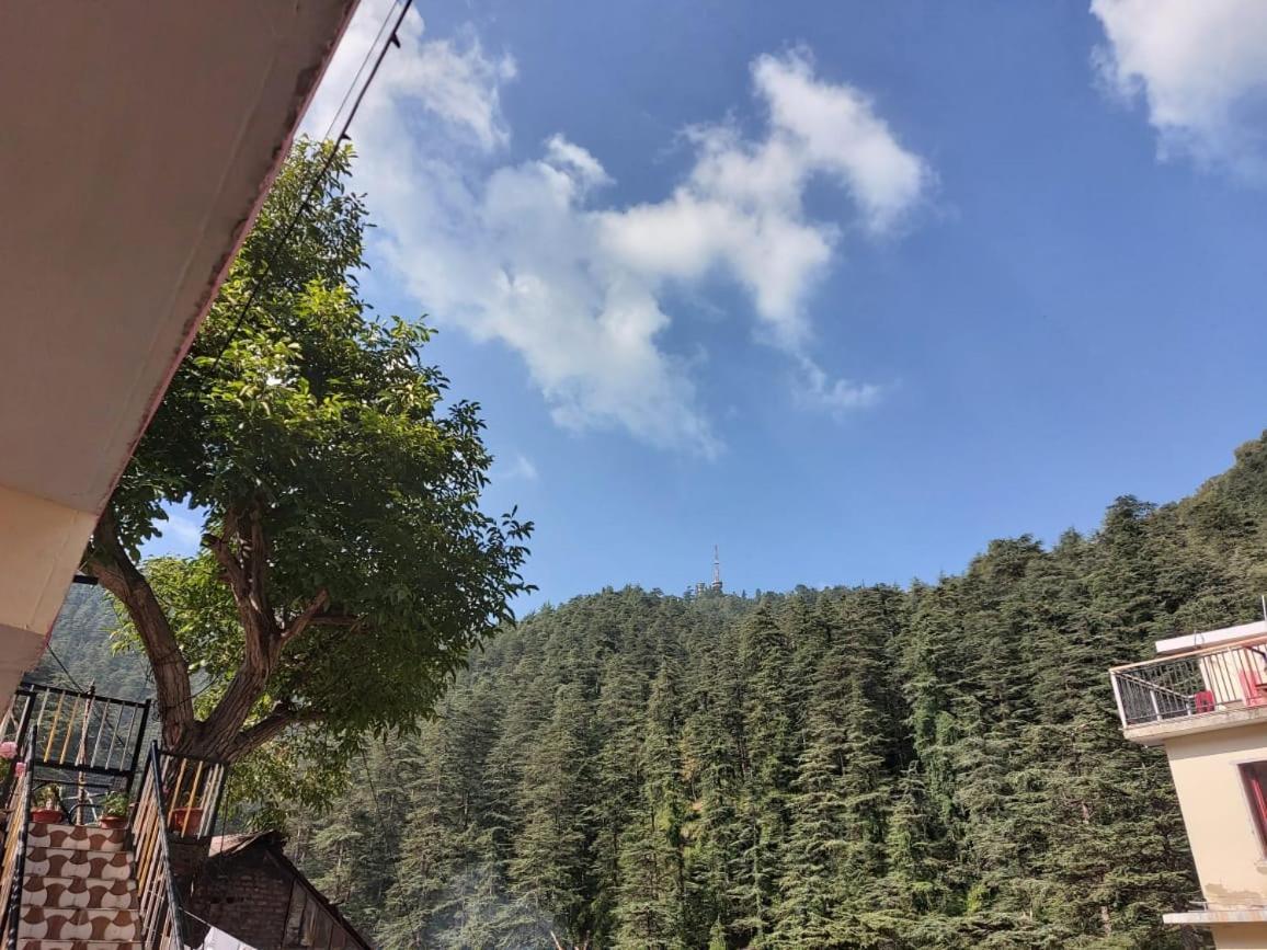 Shimla Pines Homestay Dış mekan fotoğraf