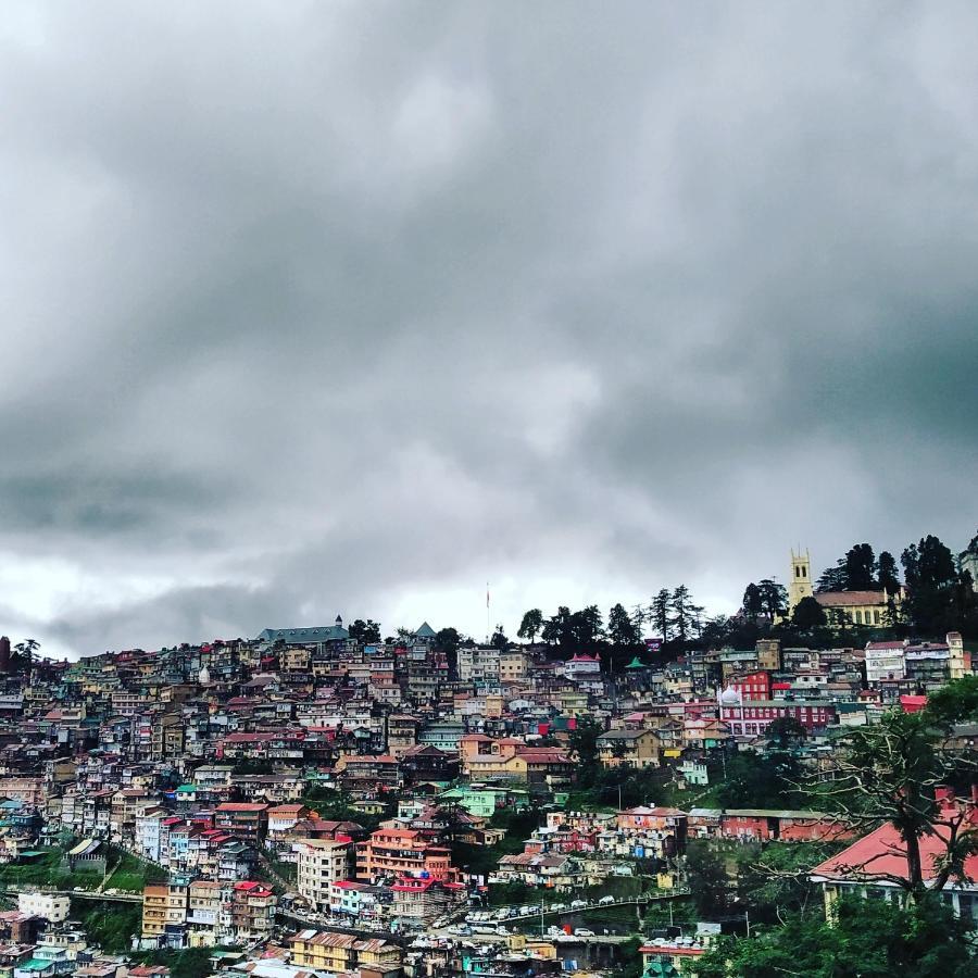 Shimla Pines Homestay Dış mekan fotoğraf