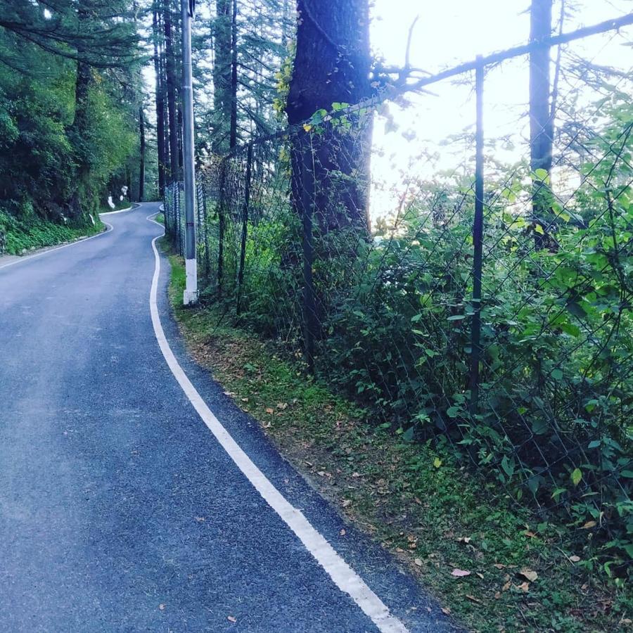 Shimla Pines Homestay Dış mekan fotoğraf