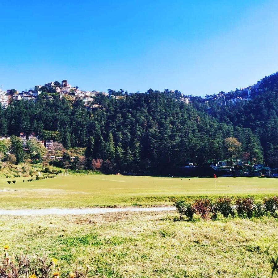 Shimla Pines Homestay Dış mekan fotoğraf